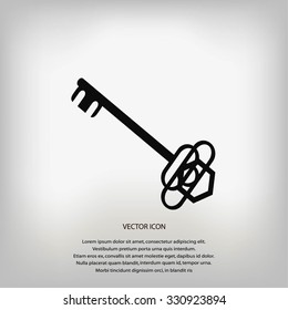 Key. Vector icon