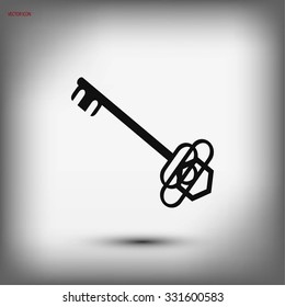 Key. Vector icon