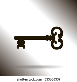 Key. Vector icon