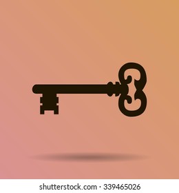 Key. Vector Icon