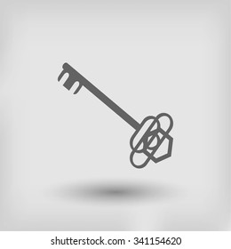 Key. Vector icon