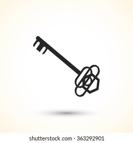 Key. Vector icon