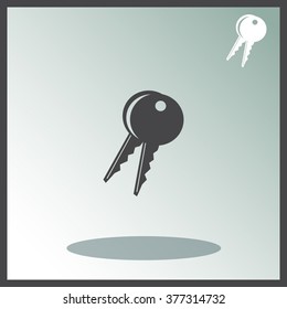 Key vector icon.