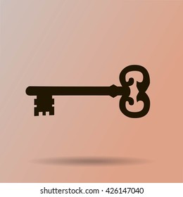 Key. Vector icon