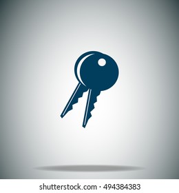 Key vector icon
