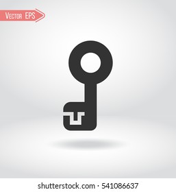 Key vector icon