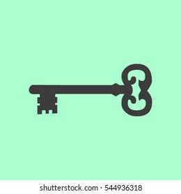 Key. Vector icon