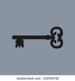 Key. Vector icon