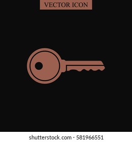 Key vector icon