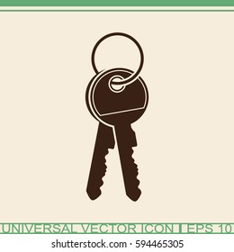 Key vector icon.