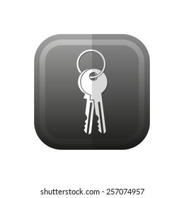 Key - vector icon, flat design
