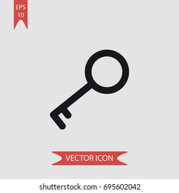 Key vector icon, illustration symbol