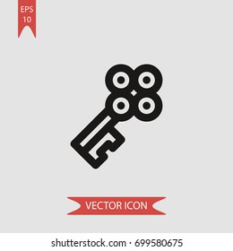 Key vector icon illustration symbol