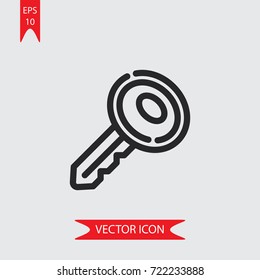 Key vector icon, illustration symbol