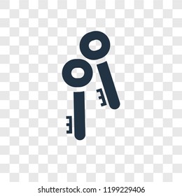Key vector icon isolated on transparent background, Key transparency logo concept
