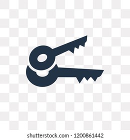 Key vector icon isolated on transparent background, Key transparency concept can be used web and mobile