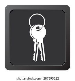  Key  - vector icon on a grey button
