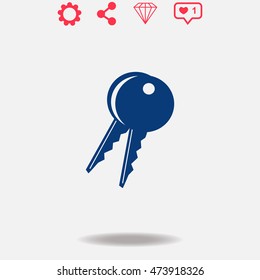Key vector icon on grey background.