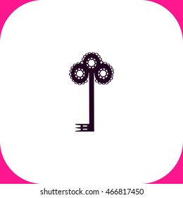 Key vector icon on white background.
