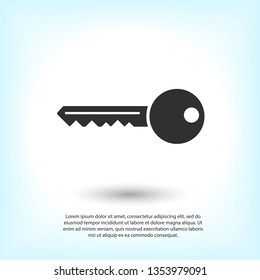 Key vector icon. Open house key icon. Key from the lock icon. Key icon - information protection symbol