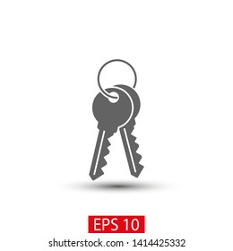 Key vector icon. Open house key icon. Key from the lock icon. Key icon - information protection symbol