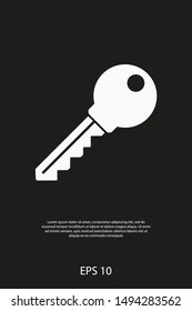 Key vector icon. Open house key icon. Key from the lock icon. Key icon - information protection symbol