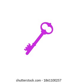 Key vector icon. Open house key icon. Key from the lock icon. Key icon - information protection symbol