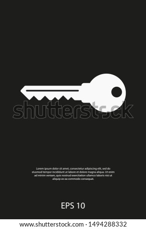 Key vector icon. Open house key icon. Key from the lock icon. Key icon - information protection symbol