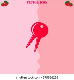 Key vector  icon. Strawberry Background.