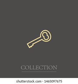 A key vector icon. Yhe sign of a key. The symbol of locking and a key.