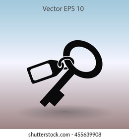 Key vector illustration