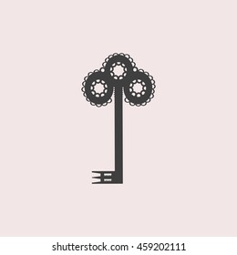 Key web icon. Isolated illustration