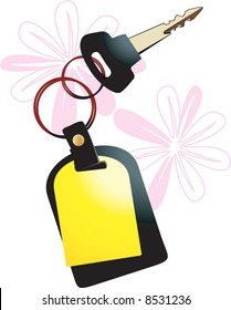  key with yellow  colour locket	
