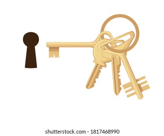 Keyhole with bunch of golden keys flat vector illustration on white background