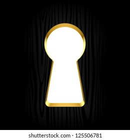 Keyhole. Vector.