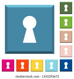 Keyhole white icons on edged square buttons in various trendy colors