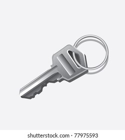 The key/Key on a white background/Key with a ring on a white background