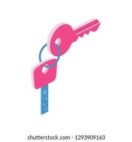 Keys 3d vector icon isometric pink and blue color minimalism illustrate