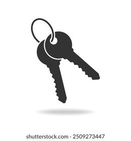 Keys graphic icon. Two keys on the ring sign isolated on white background. Vector illustration