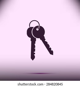 Keys Icon
