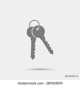 Keys Icon