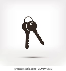 Keys Icon