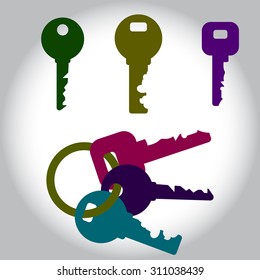 Keys Icon