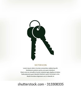 Keys Icon