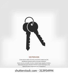 Keys Icon