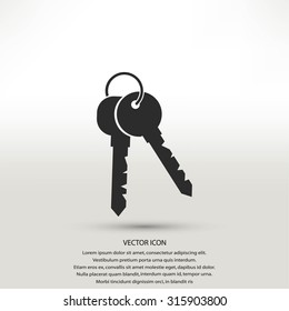 Keys Icon