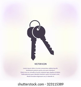 Keys Icon
