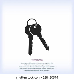 Keys Icon