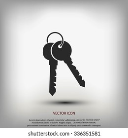 Keys Icon