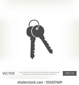 Keys Icon